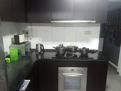 Blk 1G The Pinnacle@Duxton (Bukit Merah), HDB 5 Rooms #551444351